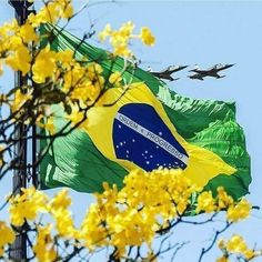 Querido símbolo da terra, da amada terra do Brasil!